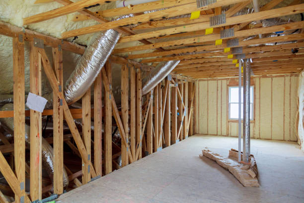 Best Insulation Maintenance and Repair in Hodgkins, IL