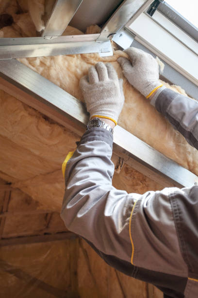 Best Insulation for Specific Applications in Hodgkins, IL